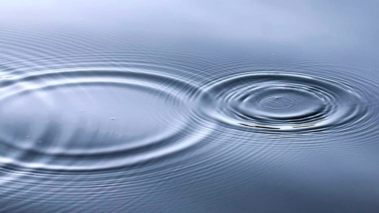Ripple Effect: How Gender Diversity Transforms Venture Capital