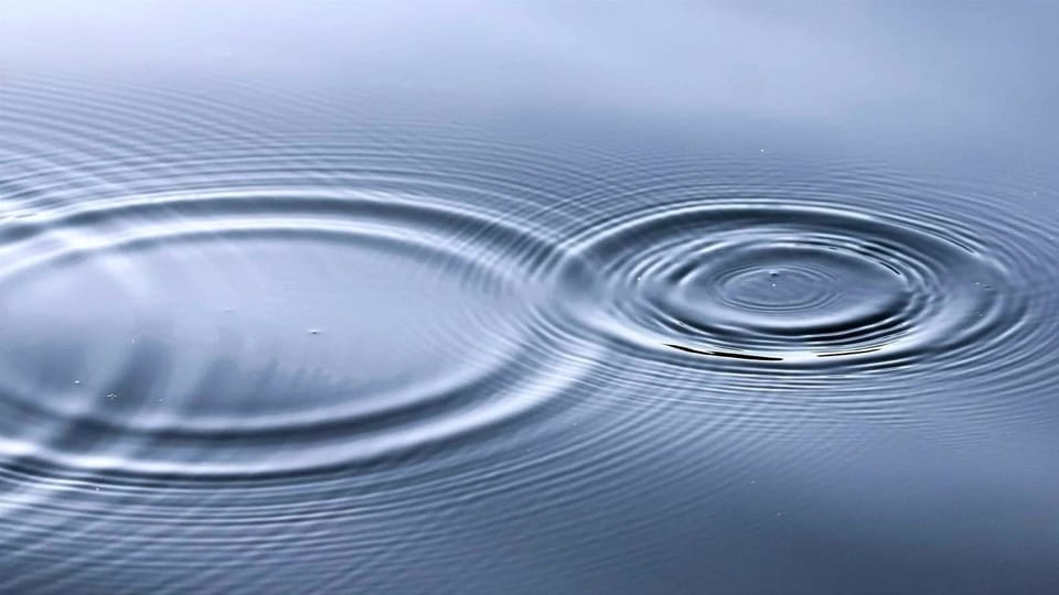 Ripple Effect: How Gender Diversity Transforms Venture Capital